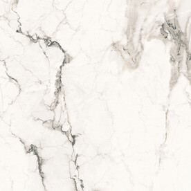 爵士白 鱼肚白高清大理石瓷砖