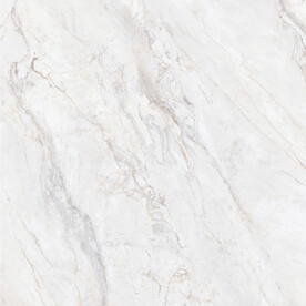 爵士白 鱼肚白高清大理石瓷砖