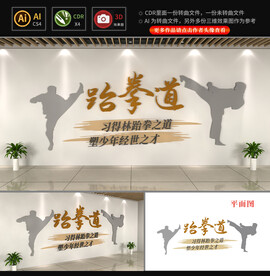 跆拳道文化墙