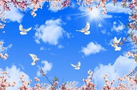 蓝天白云鸽子
