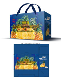 金菠萝包装