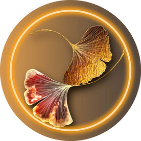 装饰画 新中式 杏叶