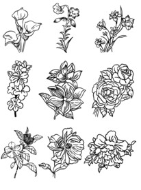 矢量花朵植物手绘线稿插画素材