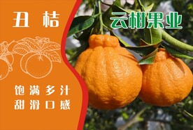 水果包装