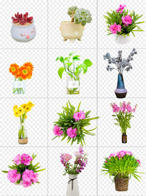 免抠花卉盆景