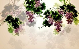 葡萄背景墙