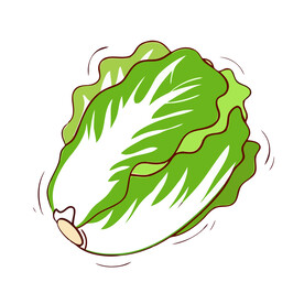 矢量白菜
