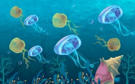 手绘水母海底世界壁画