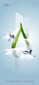 地产露珠白露节气移动端海报