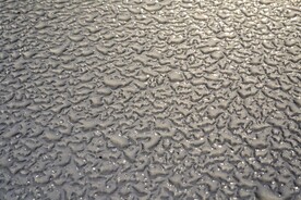 落在窗户玻璃上的雨点水珠