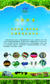 高原畜牧生态牧业肉牛养殖灯箱