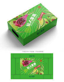仙人掌果包装 