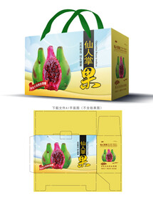 仙人掌果包装 