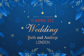 圣诞节圣诞老人礼物新年元旦礼品