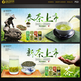 干货 茶叶