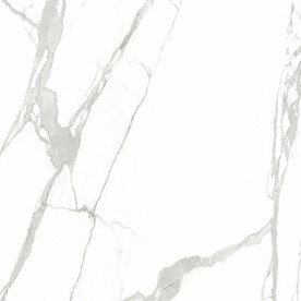 爵士白 鱼肚白高清大理石瓷砖