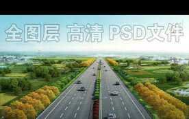 道路绿化