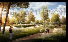 秋季芦苇荡水杉