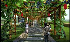 葡萄藤架