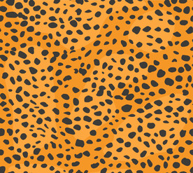 黑色 斑点 波点 点点 豹纹