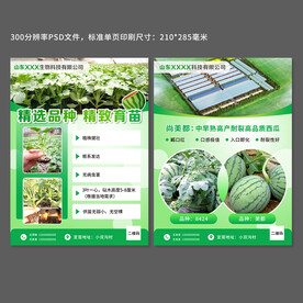 西瓜苗宣传单页设计