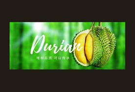 高清 榴莲 灯箱