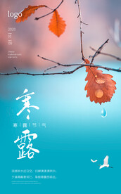 寒露节气海报广告朋友圈