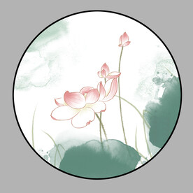 手绘荷花