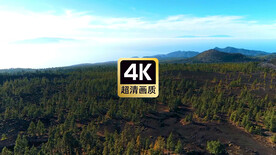 航拍山间茂密树林