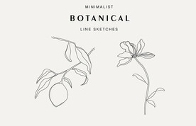 手绘植物线条花卉