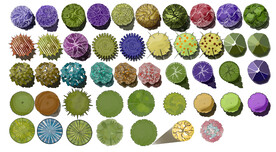 植物平面高清彩平素材PSD