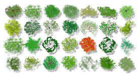 植物平面高清彩平素材PSD
