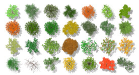 植物平面高清彩平素材PSD
