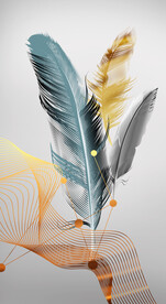 装饰画 羽毛 线条