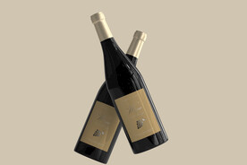 法国红酒包装样机