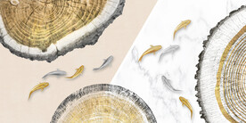 装饰画 晶瓷画 鱼 树轮