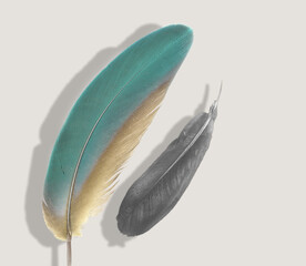 装饰画 晶瓷画 羽毛