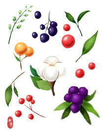 手绘卡通棉花多彩果子