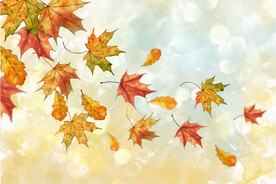 枫叶主题水彩画