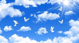 蓝天白云鸽子