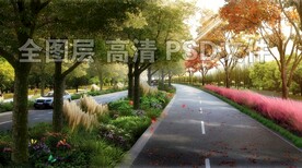 海绵城市道路绿化