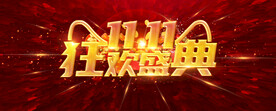 双11
