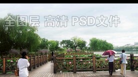 栈道荷花塘柳树