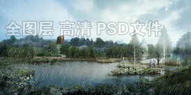 湿地荷花塘雨景