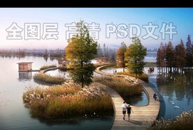 秋季湿地芦苇荡栈道