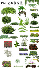 40款免抠超实用植物