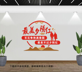 最美夕阳红文化墙