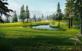 野花缀花草地杉树雪松