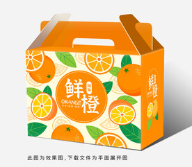 橙子包装礼盒