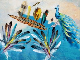 装饰画 晶瓷画 羽毛 孔雀